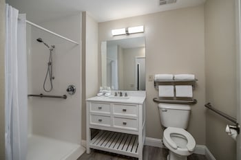 Standard Room, 1 King Bed, Mobility Accessible, Pets Not Allowed