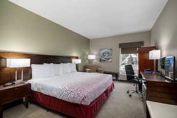 Standard Room, 1 King Bed, Mobility Accessible, Pets Not Allowed