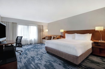 Room, 1 King Bed with Sofa bed, Hearing Accessible (Accessible Bathtub)