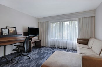 Suite, 1 King Bed with Sofa bed