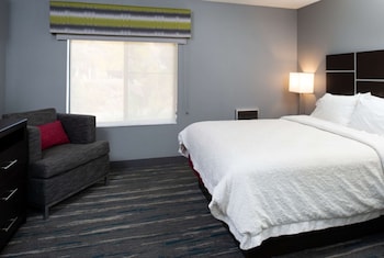Room, 1 King Bed, Accessible, Bathtub