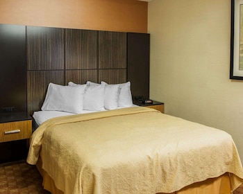 Standard Room, 1 King Bed, Non Smoking