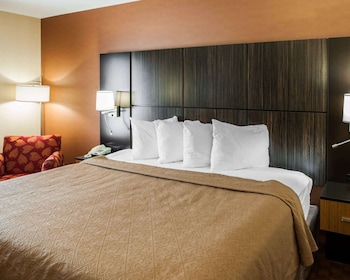 Standard Room, 1 King Bed, Non Smoking