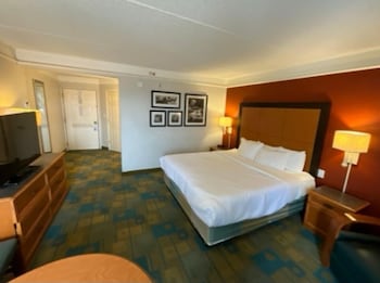 Room, 1 King Bed, Non Smoking