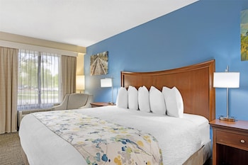 Standard Room, 1 King Bed, Accessible, Non Smoking