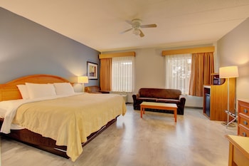 Suite, 1 King Bed with Sofa bed, Non Smoking