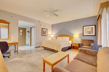 Suite, 1 King Bed with Sofa bed, Non Smoking