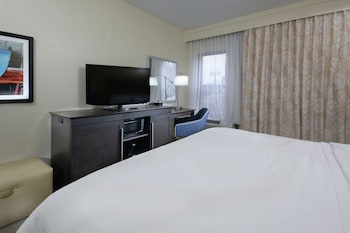 Room, 1 King Bed, Accessible, Refrigerator & Microwave (Bathtub)
