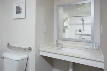 Room, 1 King Bed, Accessible, Refrigerator & Microwave (Bathtub)