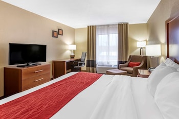 Standard Room, 1 King Bed, Non Smoking