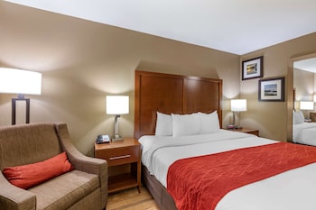 Room, 1 King Bed, Accessible, Non Smoking