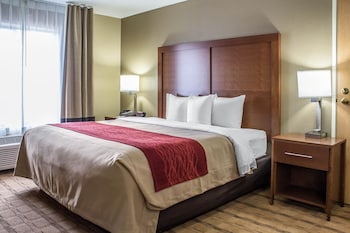 Suite, 1 King Bed with Sofa bed, Non Smoking