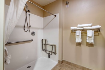 Room, 1 King Bed, Accessible, Non Smoking