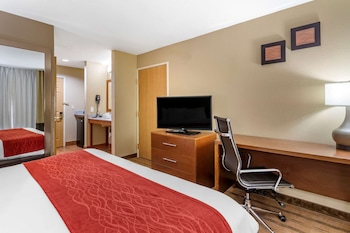 Room, 1 King Bed, Accessible, Non Smoking