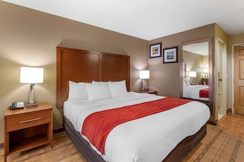 Standard Room, 1 King Bed, Non Smoking