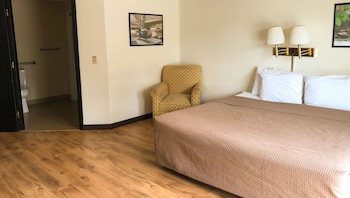 Room, 1 King Bed, Accessible, Refrigerator & Microwave (1 King Bed Accessible Non Smoking)