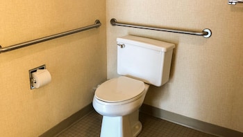 Room, 1 King Bed, Accessible, Refrigerator & Microwave (1 King Bed Accessible Non Smoking)