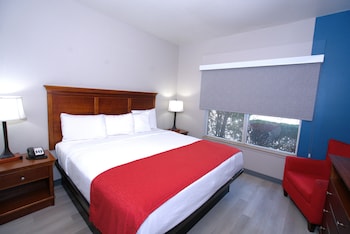 Suite, 1 Bedroom, Non Smoking
