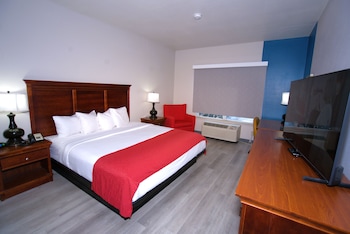 Room, 1 King Bed, Non Smoking