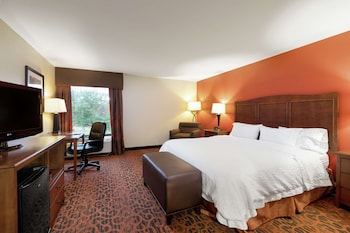 One King Bed, Non-Smoking, Accessible