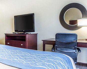 Suite, 1 King Bed with Sofa bed, Accessible, Non Smoking