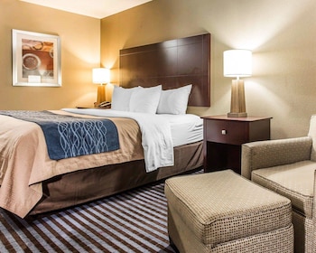 Suite, 1 King Bed with Sofa bed, Accessible, Non Smoking
