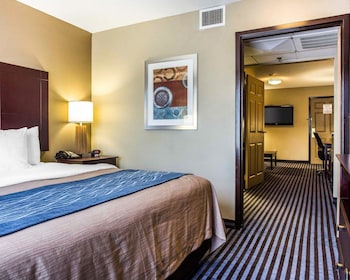 Suite, 1 King Bed with Sofa bed, Accessible, Non Smoking