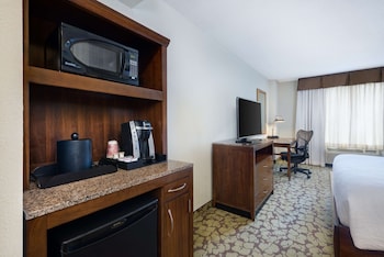 Room, 1 King Bed, Non Smoking (Hearing Accessible, with Sofabed)