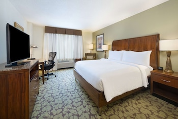 Room, 1 King Bed, Non Smoking (Hearing Accessible, with Sofabed)