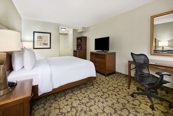 Room, 1 King Bed, Non Smoking (Hearing Accessible, with Sofabed)