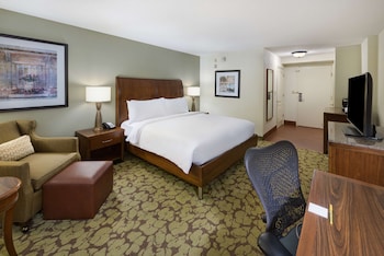 Room, 1 King Bed, Accessible, Bathtub