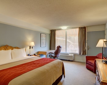 Standard Room, 1 King Bed, Smoking