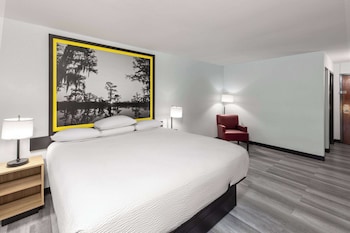 Single Room, 1 King Bed, Non Smoking