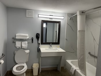 Room, 1 King Bed, Accessible, Non Smoking (Hearing, Tub w/Grab Bar)