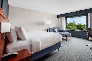 Room, 1 King Bed with Sofa bed