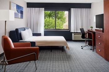 Room, 1 King Bed with Sofa bed