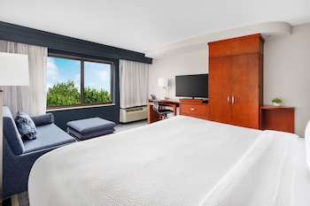 Room, 1 King Bed with Sofa bed