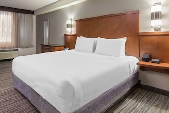 Room, 1 King Bed, Accessible (Roll-in Shower)