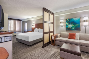 Room, 1 King Bed, Accessible (Roll-in Shower)