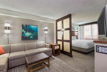 Standard Room, 1 King Bed with Sofa bed