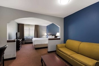 Suite, 1 King Bed with Sofa bed, Non Smoking