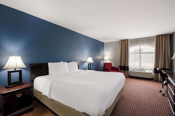 Standard Room, 1 King Bed, Non Smoking