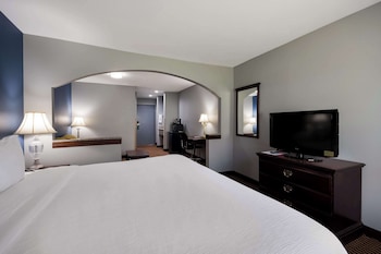 Suite, 1 King Bed with Sofa bed, Non Smoking