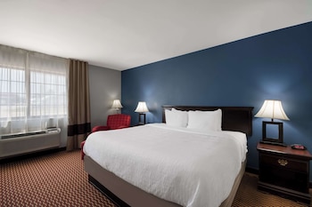 Suite, 1 King Bed, Non Smoking