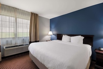 Suite, 1 King Bed with Sofa bed, Non Smoking