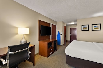 Room, 1 King Bed, Non Smoking (Roll-In Shower)