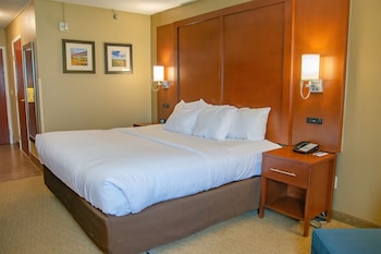 Room, 1 King Bed, Non Smoking (Roll-In Shower)