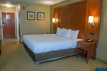 Standard Room, 1 King Bed, Non Smoking