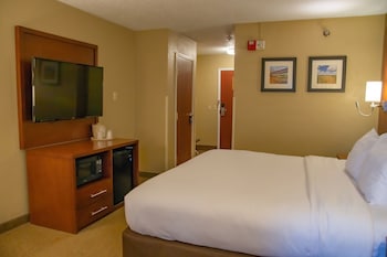Room, 1 King Bed, Non Smoking