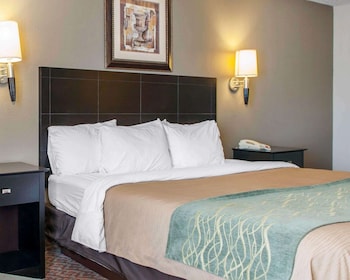 Standard Room, 1 King Bed, Non Smoking